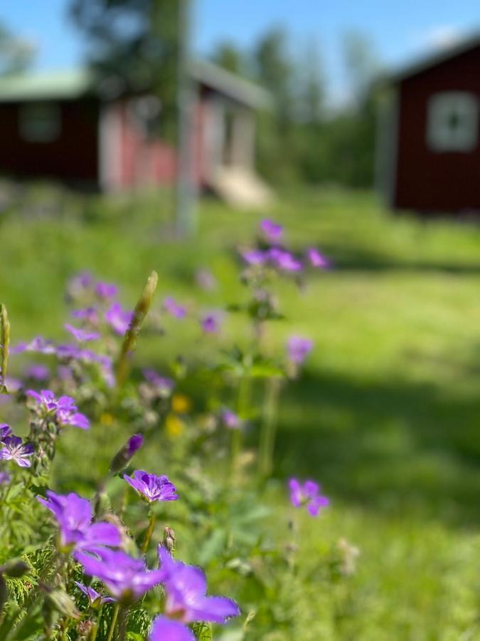 Taenndalens Stugby Villa Exterior photo